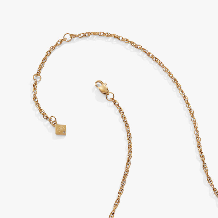 Stainless Steel Gold