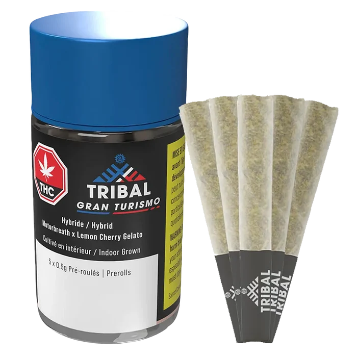 Three-quarter front view of the Gran Turismo PR 5 x 0.5 g jar with blue lid beside five fanned pre-rolls showing their paper tips and textured ground herb.