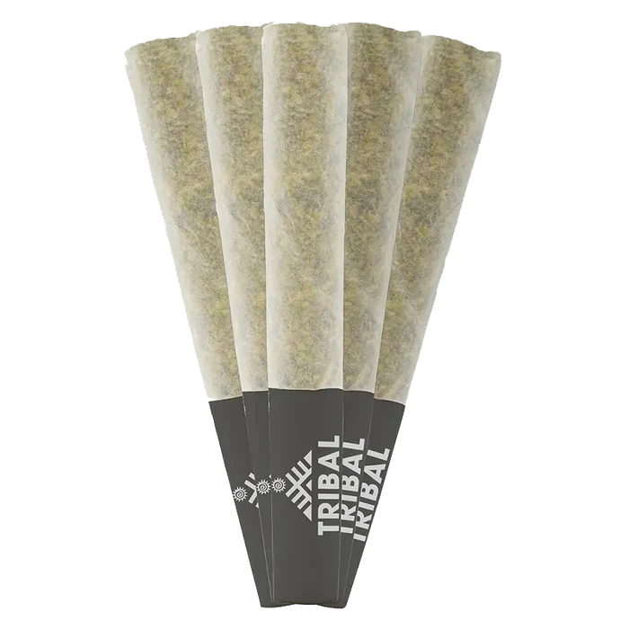 Five pre-rolled cones fanned on a white background showing paper-filled tubes with black Tribal Gran Turismo PR 5 x 0.5 g tips.