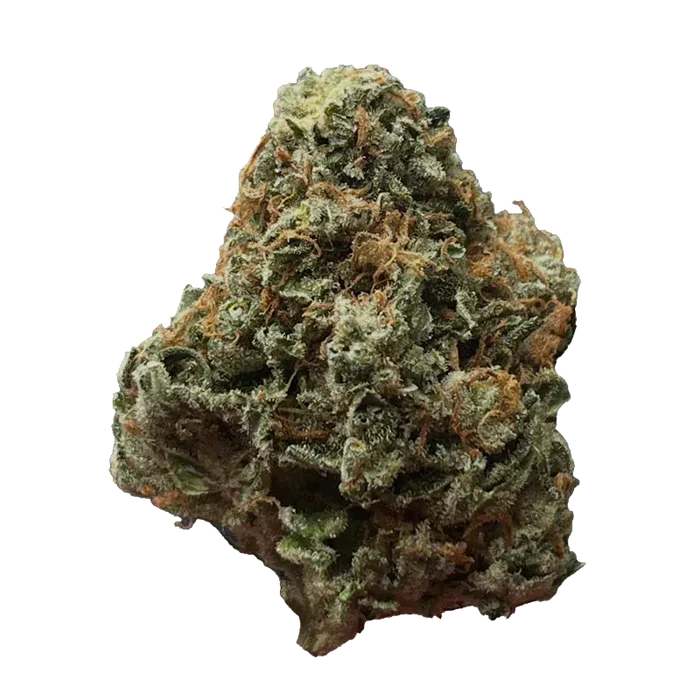 Close-up top-down view of a single dense Green Congo bud showing frosty trichomes and orange pistils against a white background.