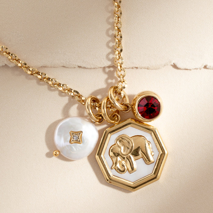 January Birthstone Interchangeable Charm