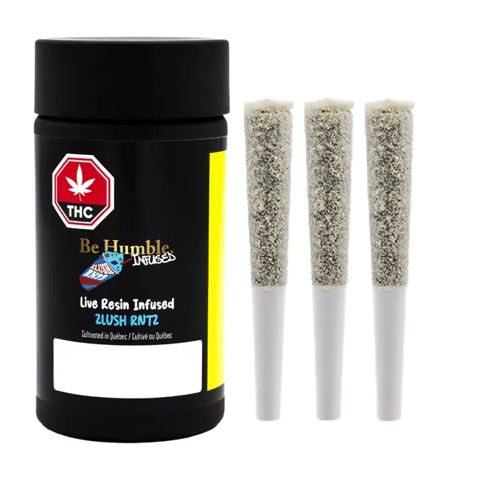 Studio-lit front view of a black canister and three pre-rolls of Live Resin Zlush Rntz Infused PR 3 x 0.6 g, arranged against a white background.