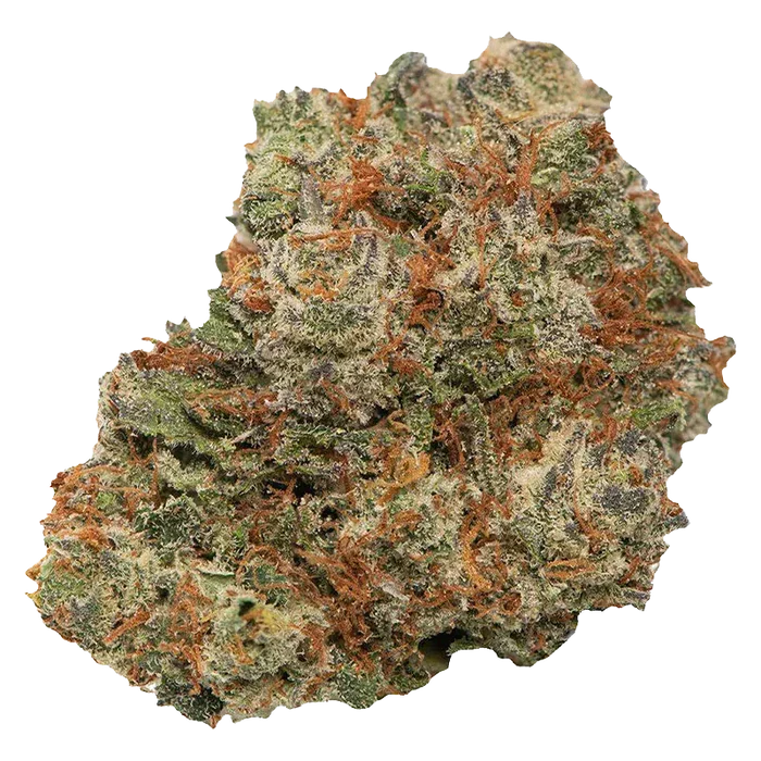 Close-up of a single dense Mary-go-round bud, shown against a white background with frosty trichomes and orange pistils.