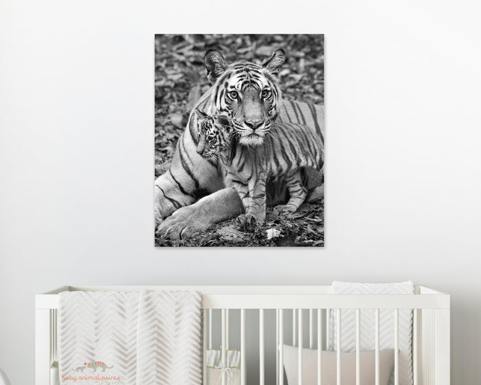 Mom and Baby Tiger Photo