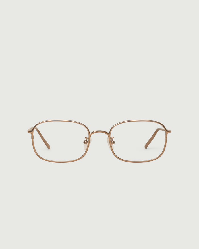 Nickel::Nami Eyeglasses square Brown metal front
