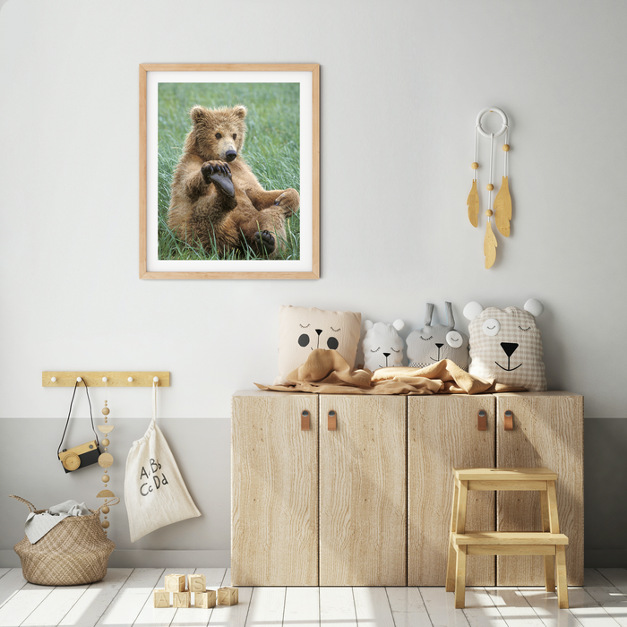Playful Bear Photo