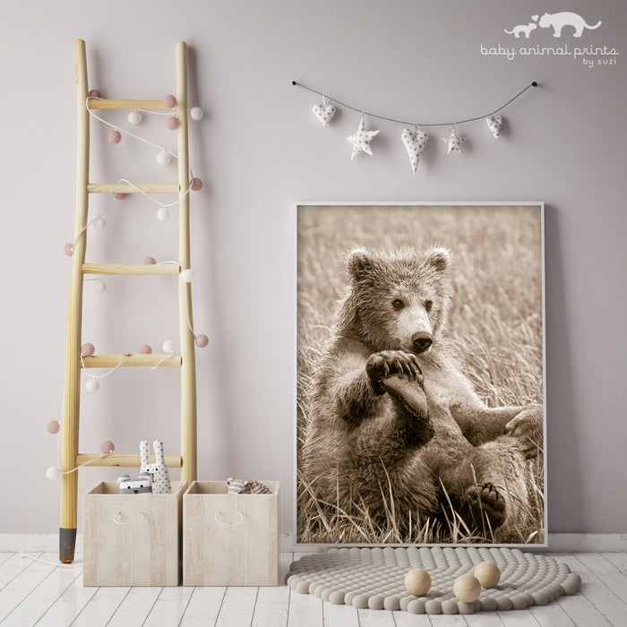 Playful Bear Photo