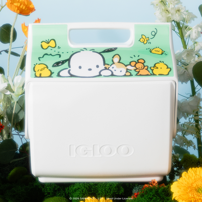 Pochacco x Igloo Little Playmate 7 Qt Cooler Travel Igloo Products Corp