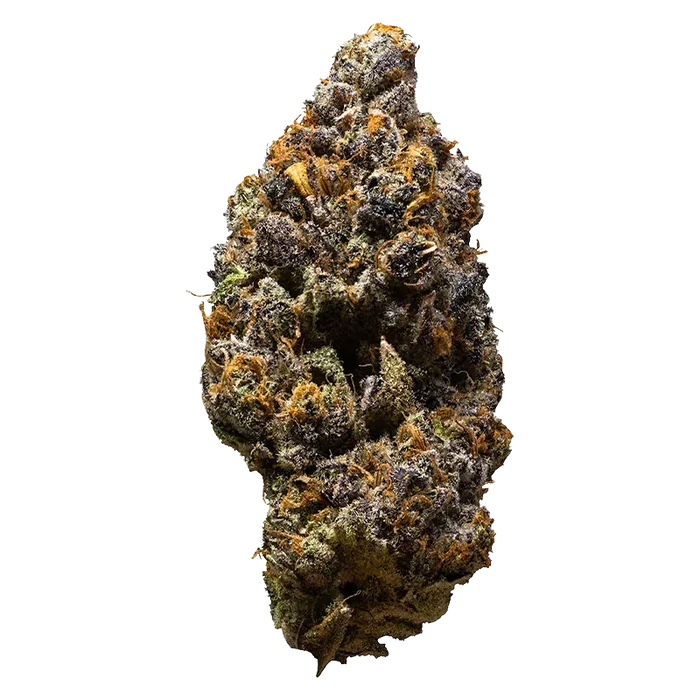 High-resolution close-up of a single "Possum" cannabis bud showing purple-green hues, orange pistils, and frosty trichomes against a white background