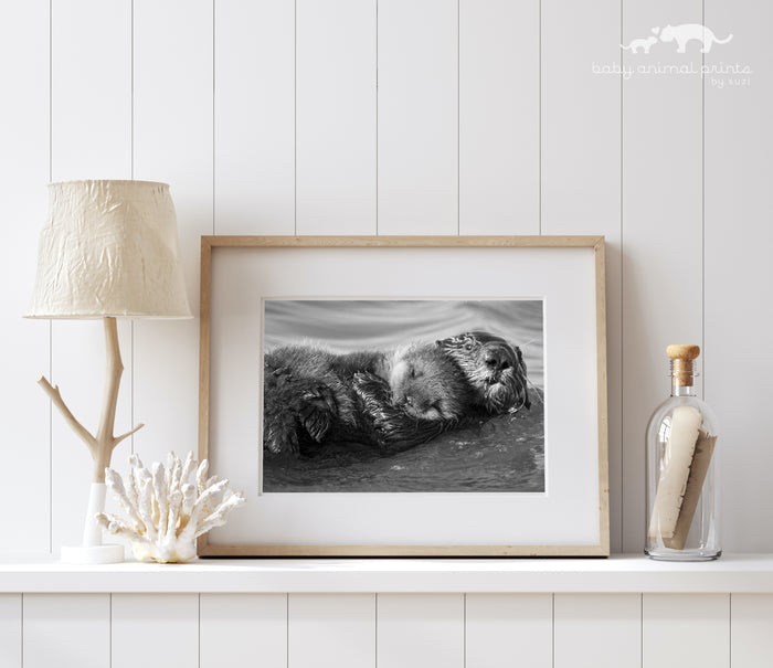 Sea Otter Hugging Baby Photo