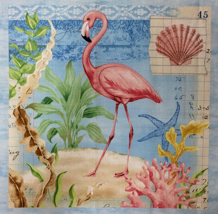 SEASIDE WONDERS 28102-457 P