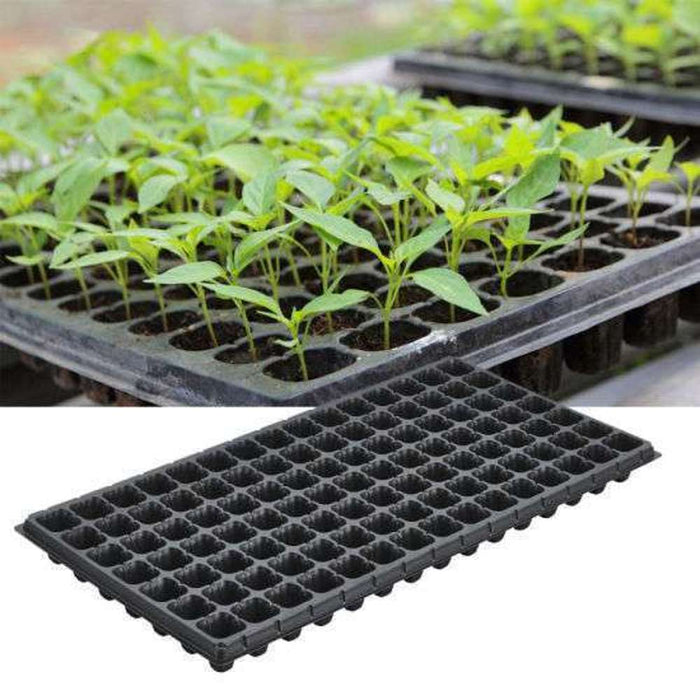 Seedling Tray 105 Cells (7 x 15) 540 x 280 x 40mm