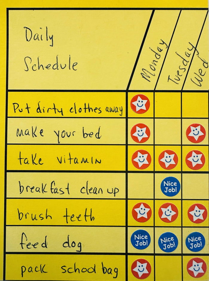 Buy Horizontal chart set helps organize school activities for kids
