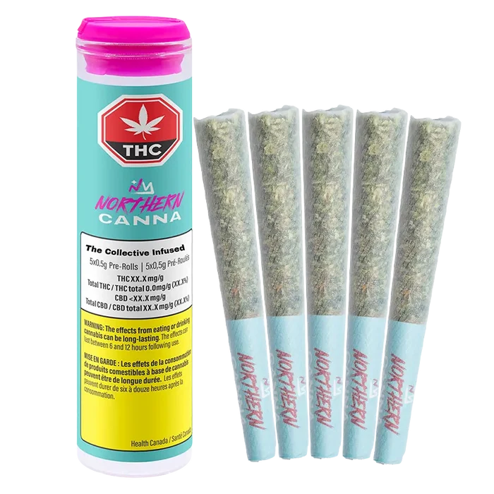 Right-side view of five pre-rolled joints next to a teal tube labeled The Collective Infused PR 5 x 0.5 g showing a pink cap and health warning.