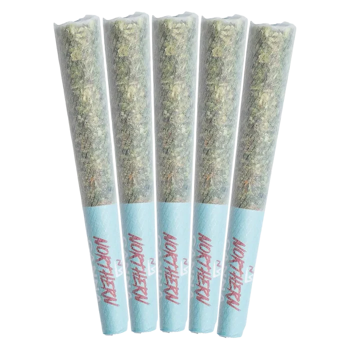 Five slightly angled pre-rolls in translucent paper with pale blue tips, labeled "The Collective Infused PR 5 x 0.5 g."
