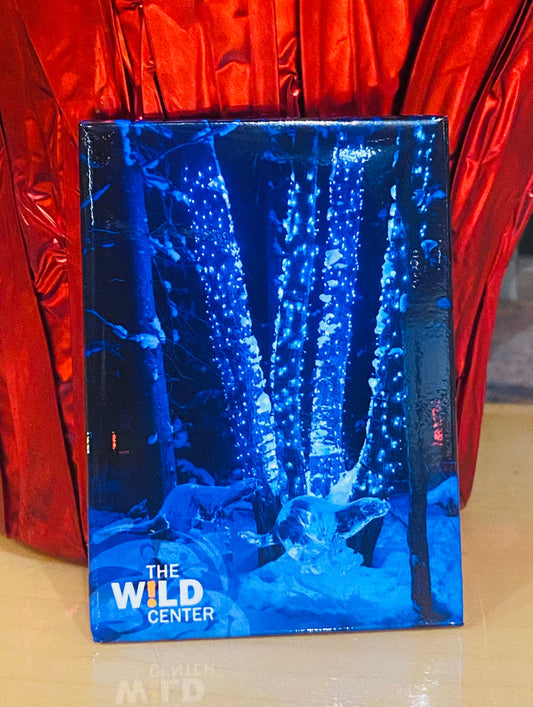 Wild Lights Magnet